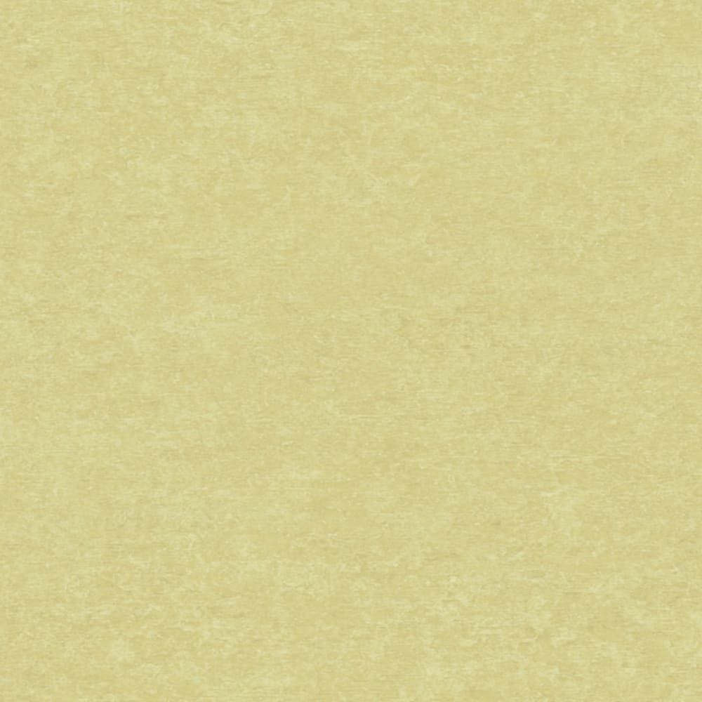 Papel pintado Cardoso Sion SN5604