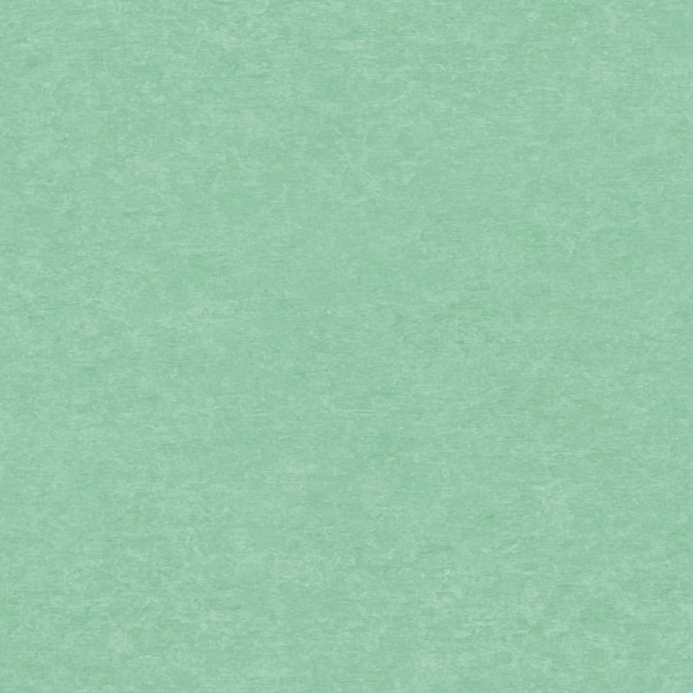 Papel pintado Cardoso Sion SN5605