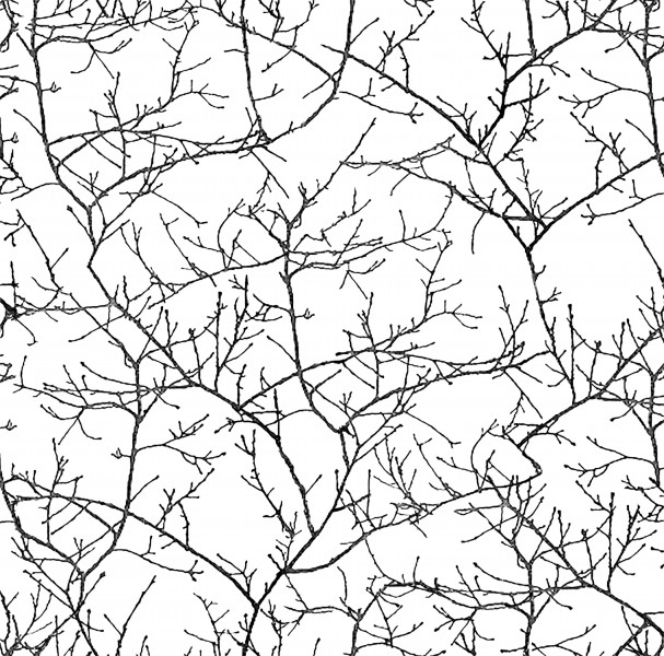 Papel pintado Cardoso New Elegance 8012-30
